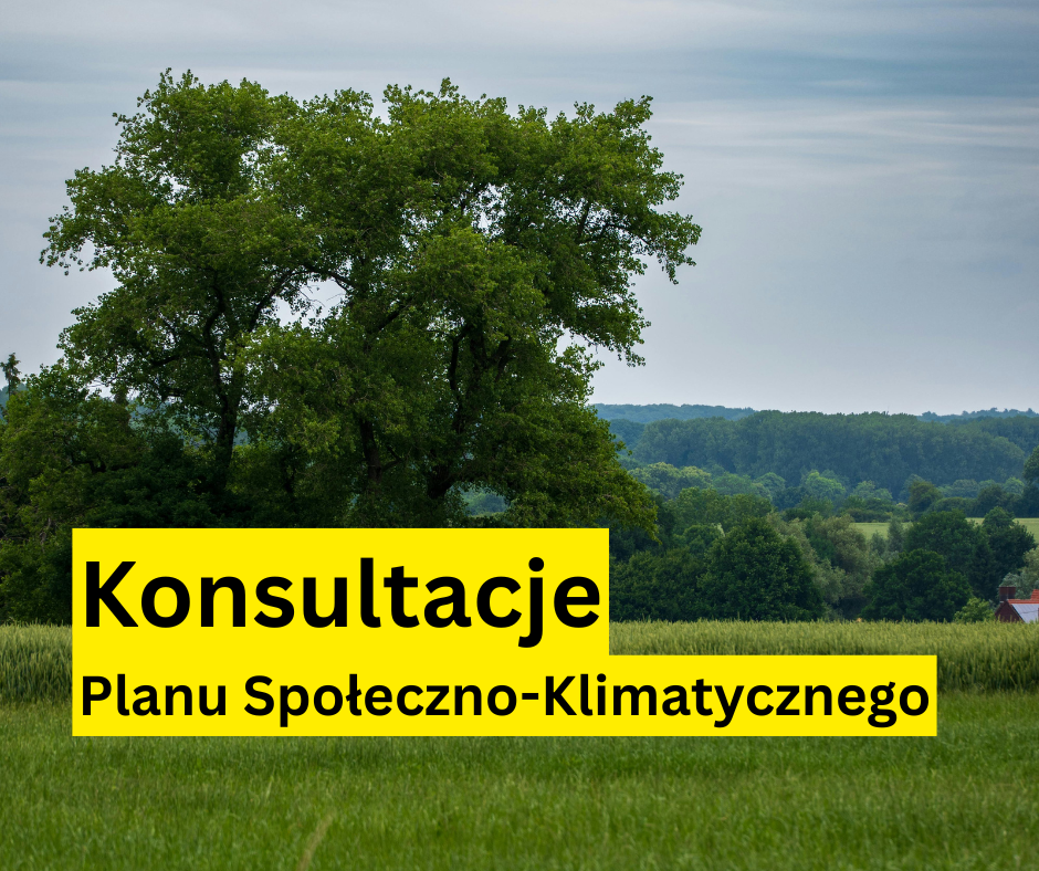 Obrazek dekoracyjny