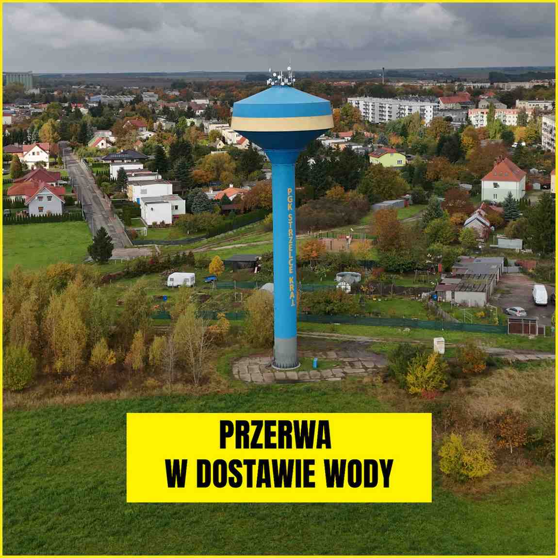 Zdjęcie dekoracyjne