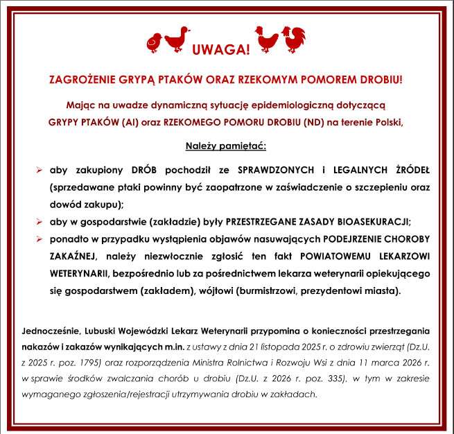 Obraz zawiera tekst, który jest w treści artykułu.